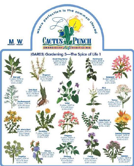 Bora3 Cactus Embroidery026