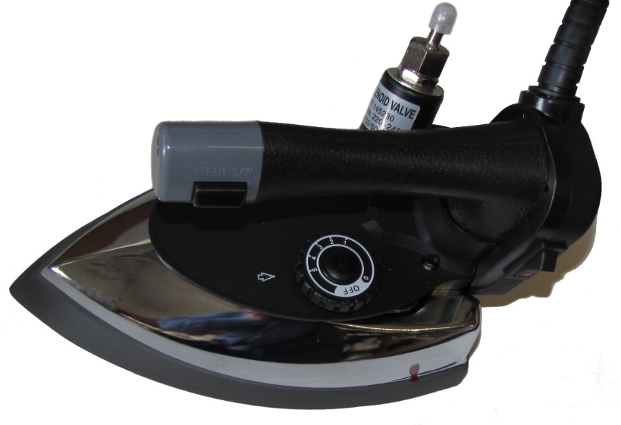 Праска парова Iron 300L з бачком